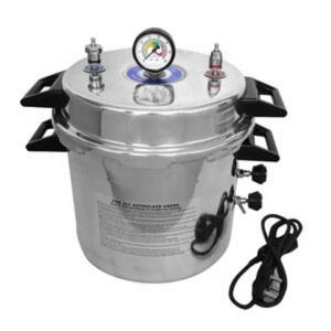 Autoclave pressure cooker type