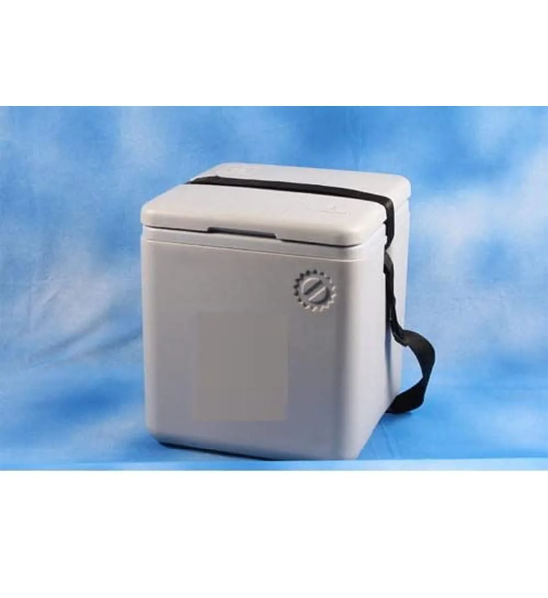 Small Day Vaccine Carrier Box - Get Best Price from Manufacturers &  Suppliers in India