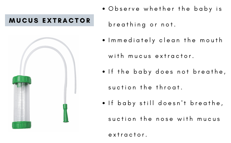 Mucus extractor